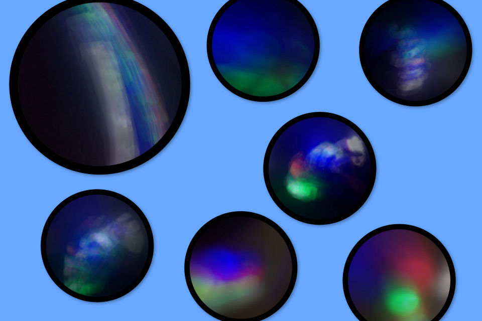 downtown canine hotel and spa