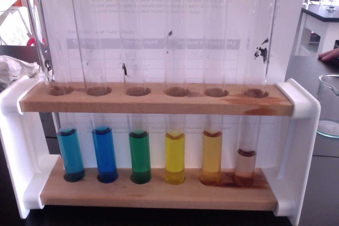 Rainbow Lab DIY