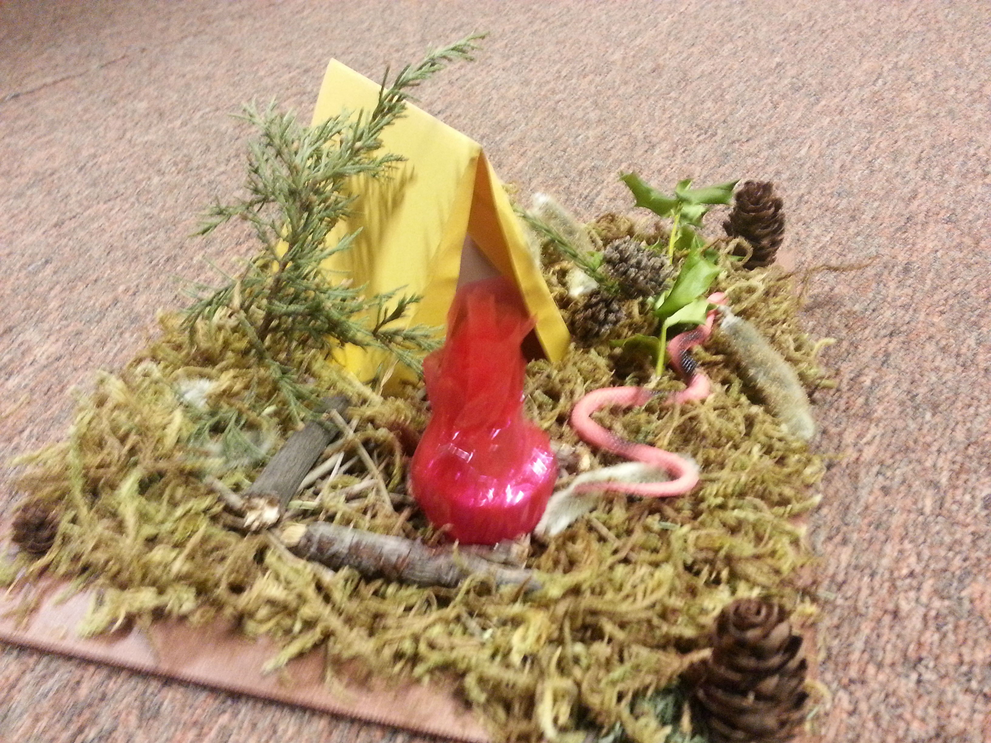 snake habitat diorama campground diy