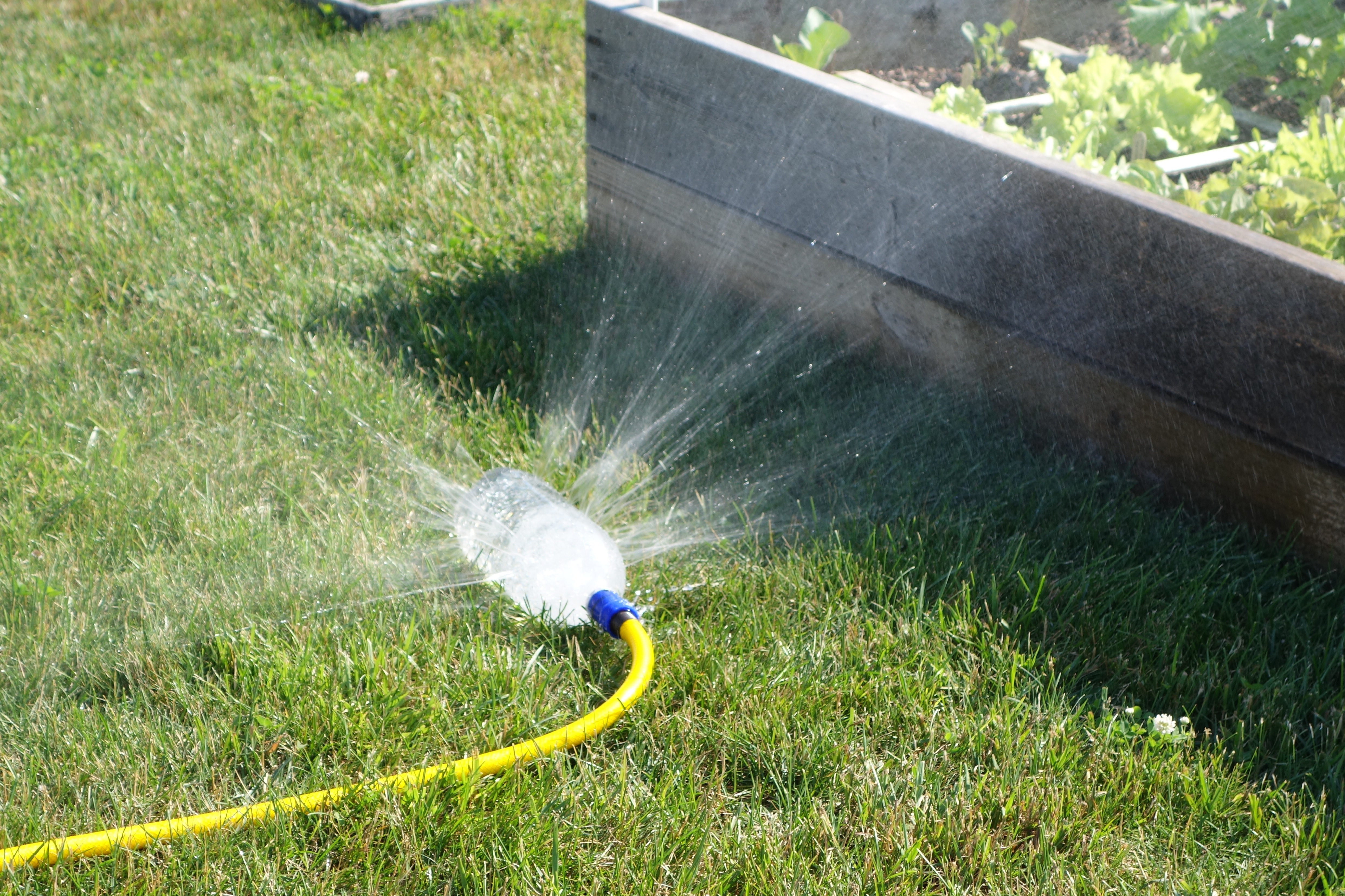 Semen Sprinkler J